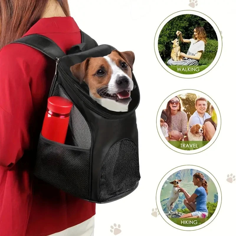 Sac à dos de transport pour chat, randonnée et promenade