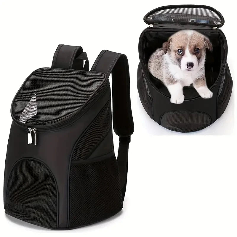 Sac à dos de transport pour chat, randonnée et promenade