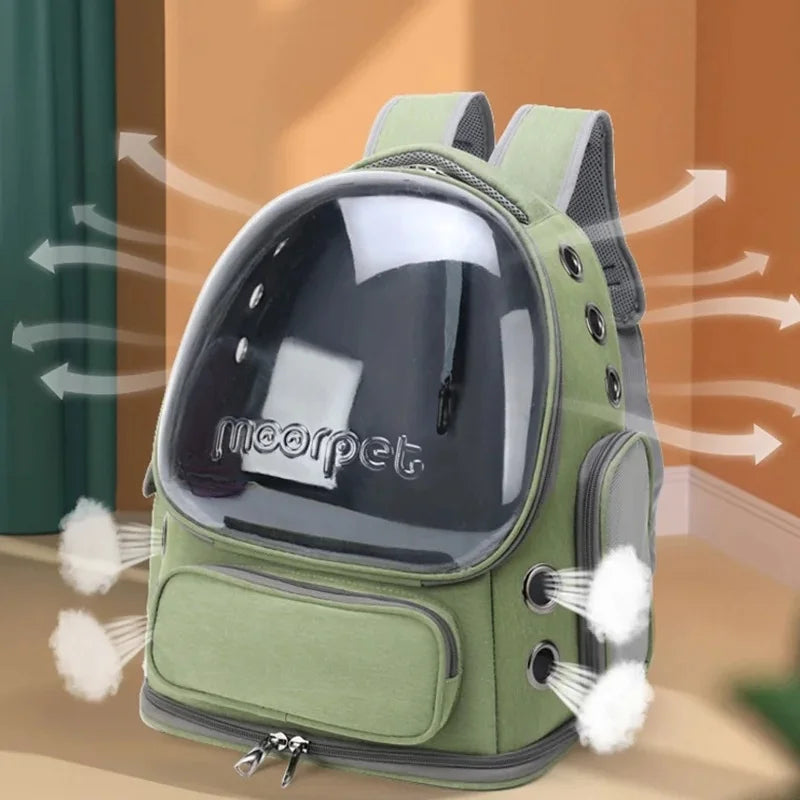 Sac à dos de transport pour chat avec fenêtres en filet respirant