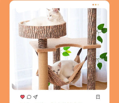 Arbre à chat maison forestière 155cm avec hamacs et griffoirs sisal