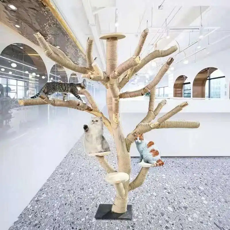 Arbre à Chat en Bois Naturel - Aire de Jeux, Escalade et Repos pour Chats