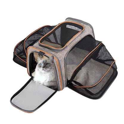 Sac de transport extensible pour chat avec panneaux en filet zippés