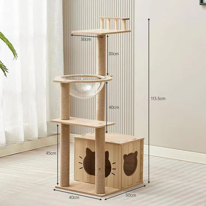 Arbre à chat en bois avec capsules transparentes et maisonnette cubique