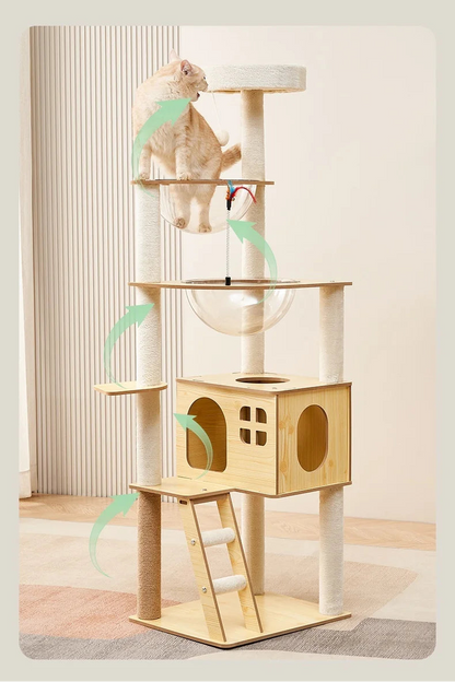 Arbre à chat en bois avec capsules transparentes et maisonnette cubique