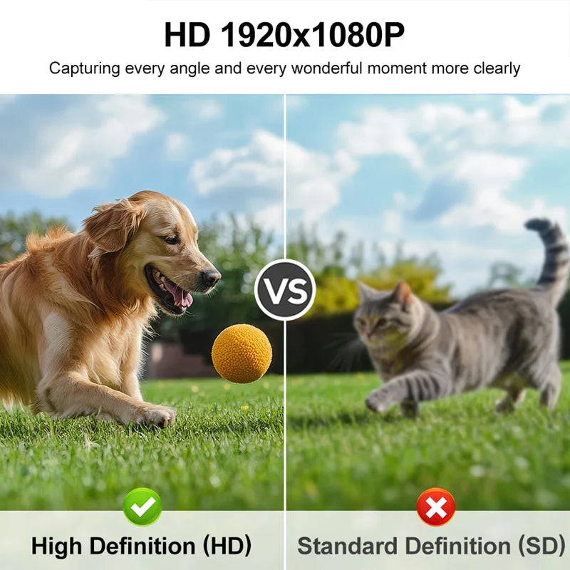 Caméra sport 1080p à fixation magnétique pour collier de chien et chat