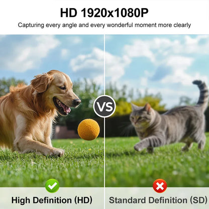 Caméra sport 1080p à fixation magnétique pour collier de chien et chat
