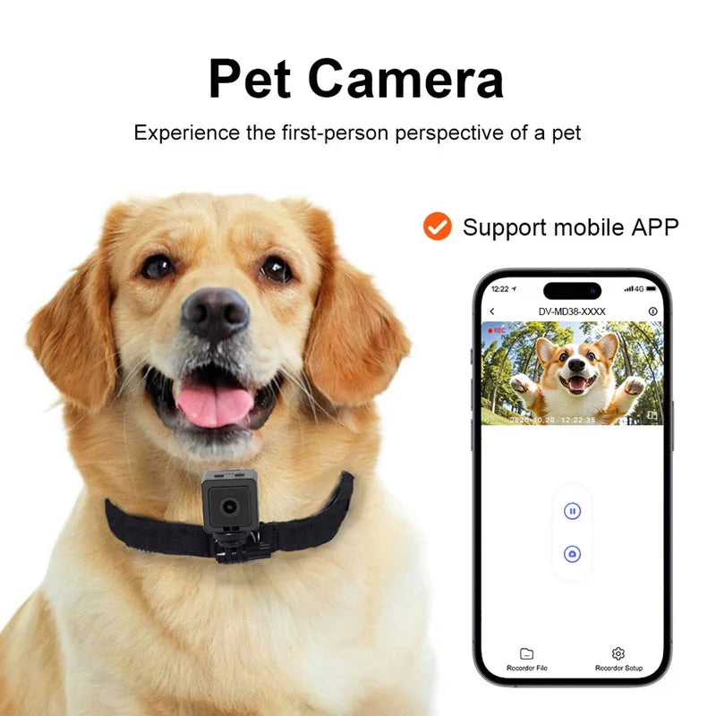 Caméra sport 1080p à fixation magnétique pour collier de chien et chat