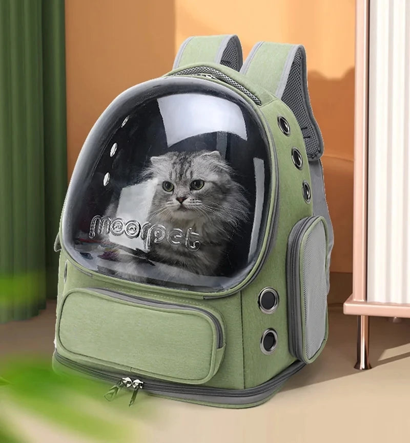 Sac à dos de transport pour chat avec fenêtres en filet respirant