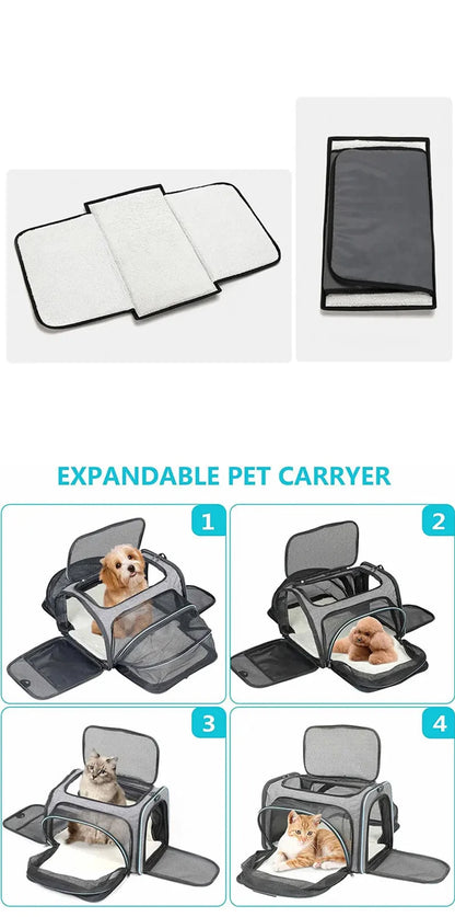 Sac de transport extensible pour chat avec panneaux en filet zippés