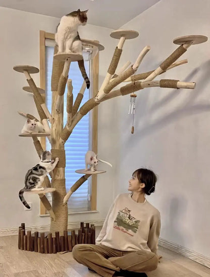 Arbre à Chat en Bois Naturel - Aire de Jeux, Escalade et Repos pour Chats