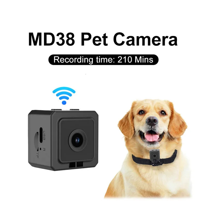 Caméra sport 1080p à fixation magnétique pour collier de chien et chat