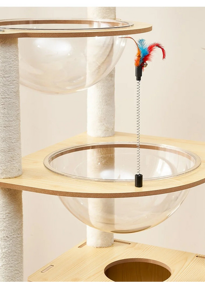 Arbre à chat en bois avec capsules transparentes et maisonnette cubique
