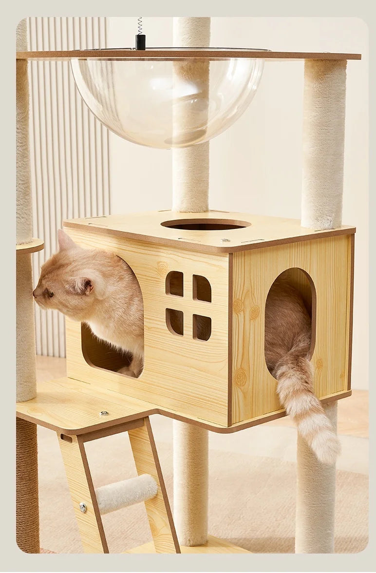 Arbre à chat en bois avec capsules transparentes et maisonnette cubique