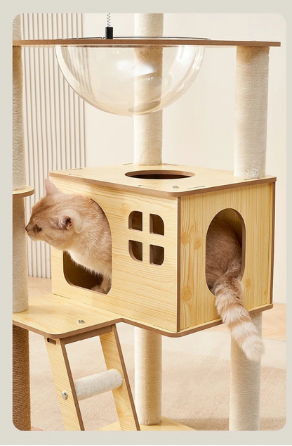 Arbre à chat en bois avec capsules transparentes et maisonnette cubique