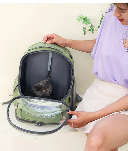 Sac à dos de transport pour chat avec fenêtres en filet respirant