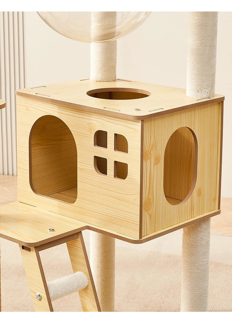 Arbre à chat en bois avec capsules transparentes et maisonnette cubique