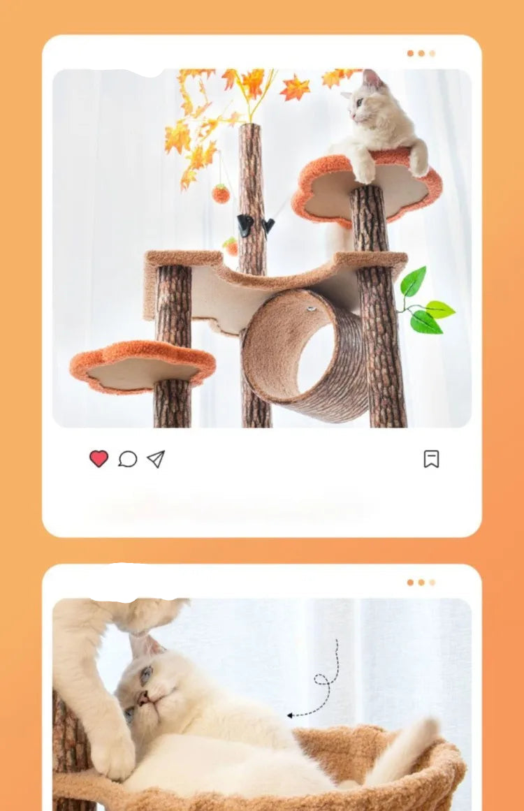 Arbre à chat maison forestière 155cm avec hamacs et griffoirs sisal