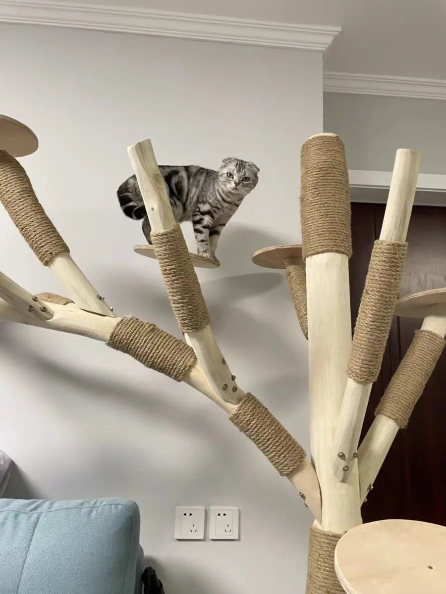 Arbre à Chat en Bois Naturel - Aire de Jeux, Escalade et Repos pour Chats