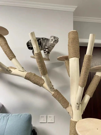 Arbre à Chat en Bois Naturel - Aire de Jeux, Escalade et Repos pour Chats