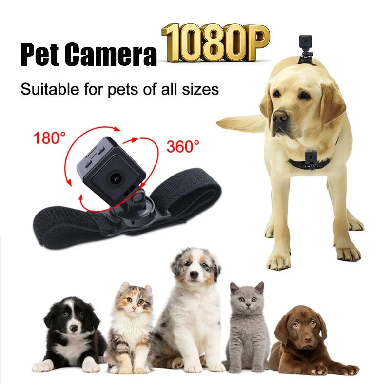 Caméra sport 1080p à fixation magnétique pour collier de chien et chat