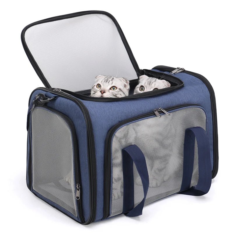 Sac à dos de transport pour chat et chien avec fenêtre en filet
