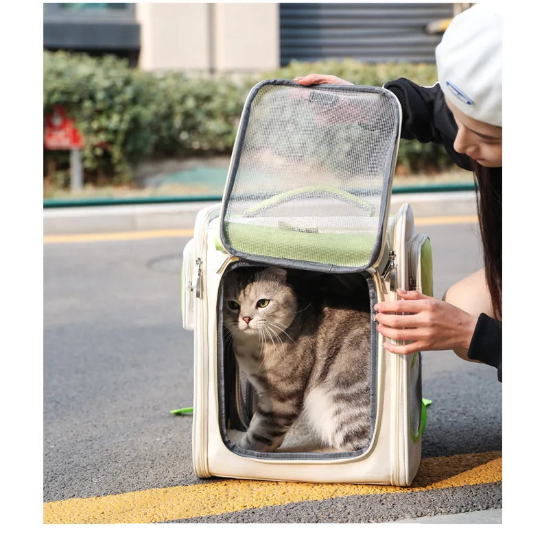 Sac à dos de transport pour chat, fenêtres en filet et double bandoulière