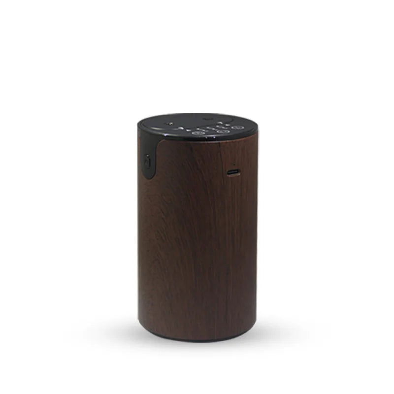 Diffuseur d'Huiles Essentielles USB Double Buse – Voiture & Maison
