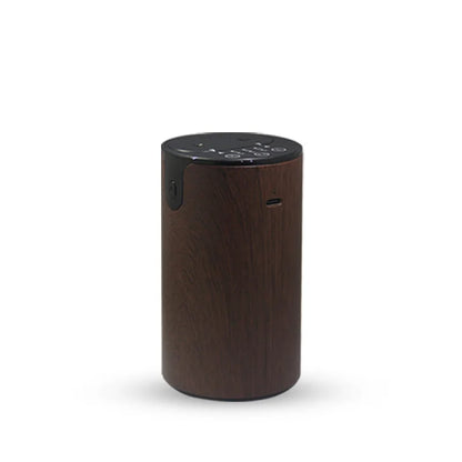 Diffuseur d'Huiles Essentielles USB Double Buse – Voiture & Maison