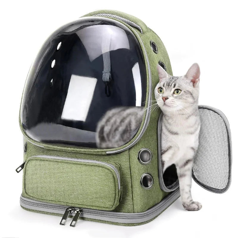 Sac à dos de transport pour chat avec fenêtres en filet respirant