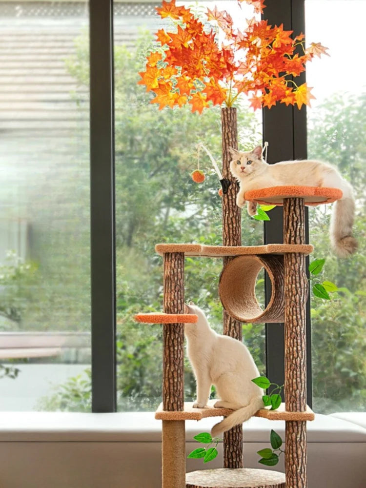 Arbre à chat maison forestière 155cm avec hamacs et griffoirs sisal