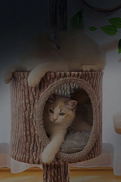Arbre à chat maison forestière 155cm avec hamacs et griffoirs sisal