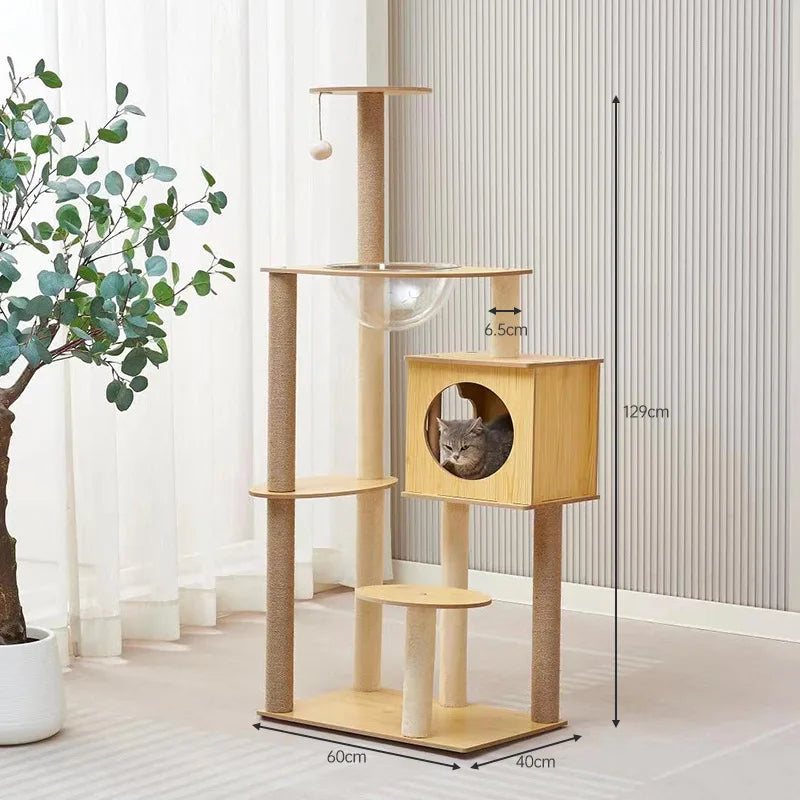 Arbre à chat en bois avec capsules transparentes et maisonnette cubique