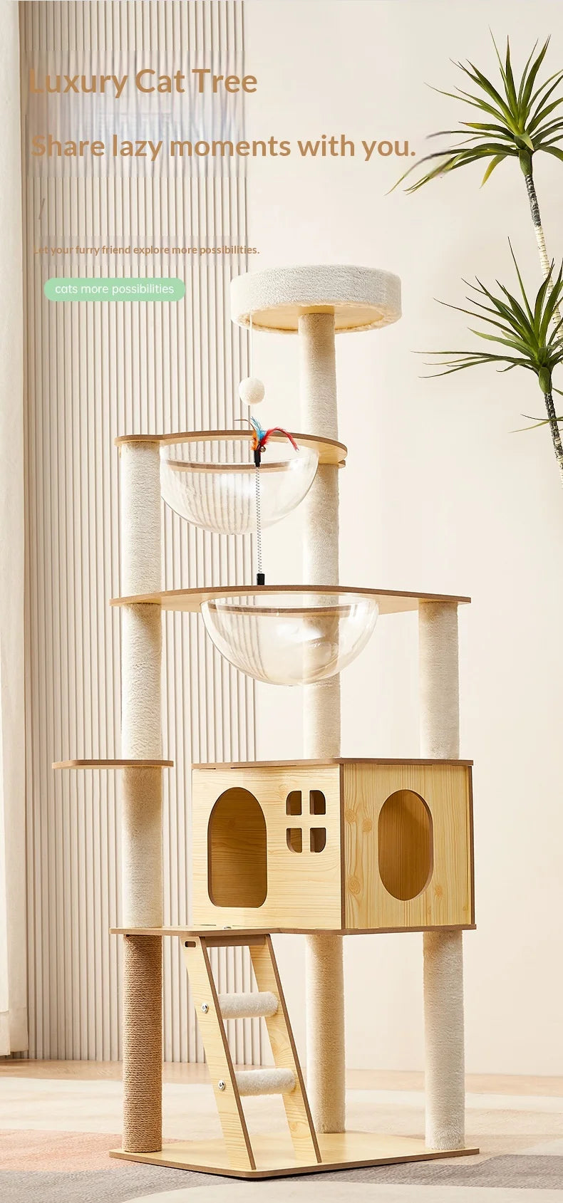 Arbre à chat en bois avec capsules transparentes et maisonnette cubique
