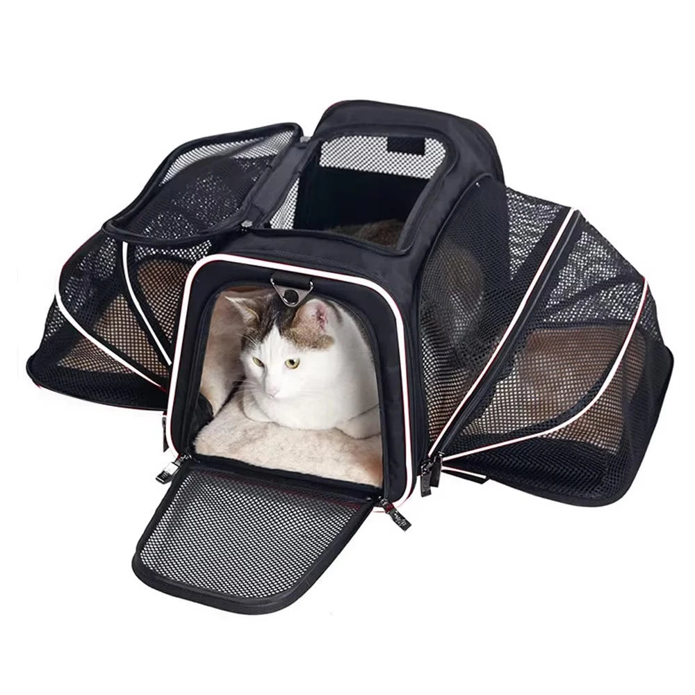 Sac de transport extensible pour chat avec panneaux en filet zippés