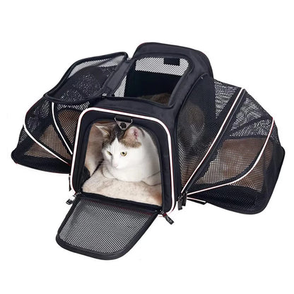 Sac de transport extensible pour chat avec panneaux en filet zippés