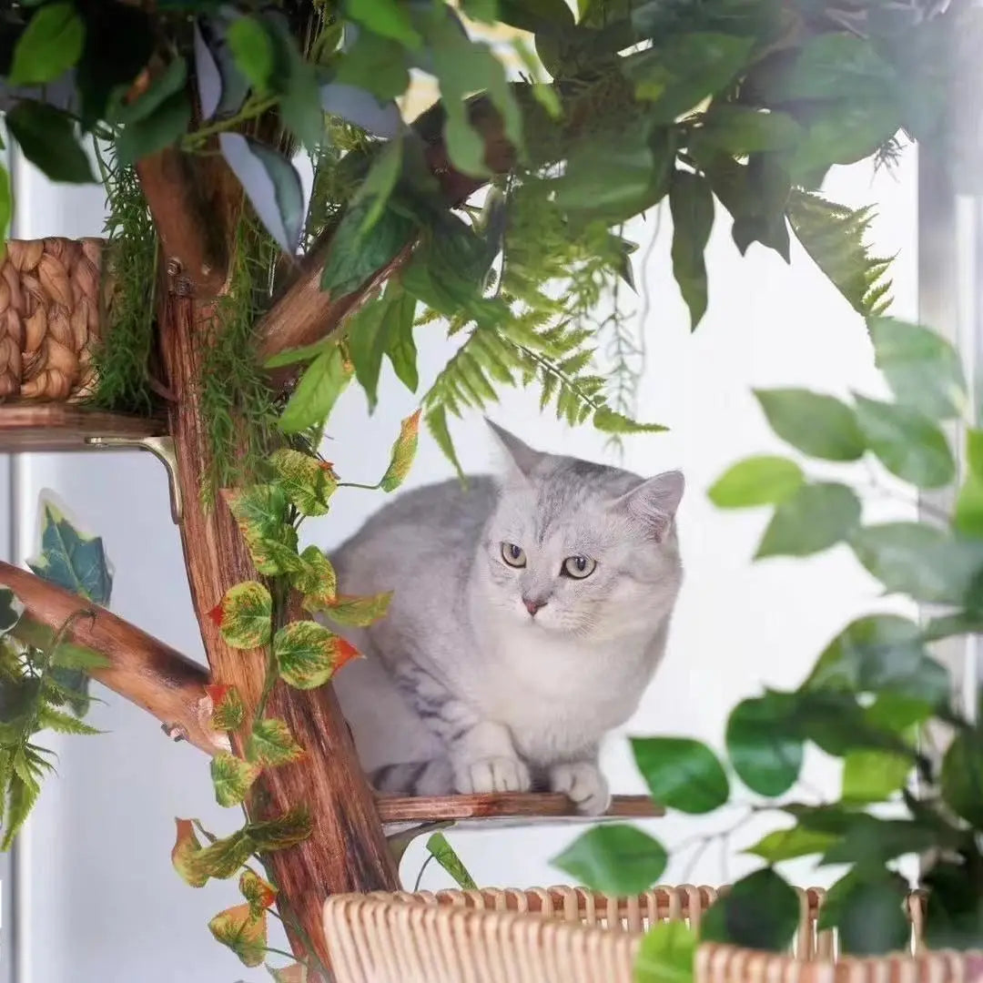 Arbre à Chat en Bois Naturel - Aire de Jeux, Escalade et Repos pour Chats