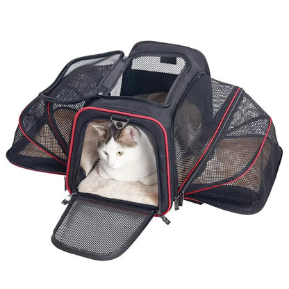 Sac de transport extensible pour chat avec panneaux en filet zippés