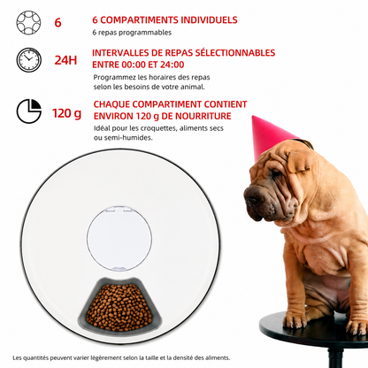 Distributeur Automatique 6 Repas pour Chiens et Chats – Nourrissez votre compagnon même en votre absence