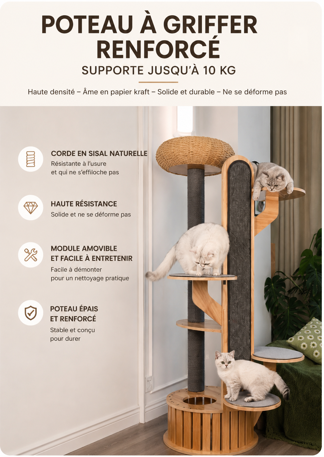 Arbre à Chat Design Premium – Paradis Vertical pour Chats d’Intérieur
