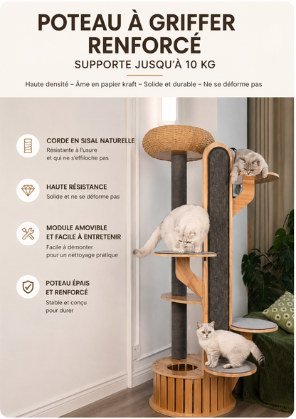 Arbre à Chat Design Premium – Paradis Vertical pour Chats d’Intérieur