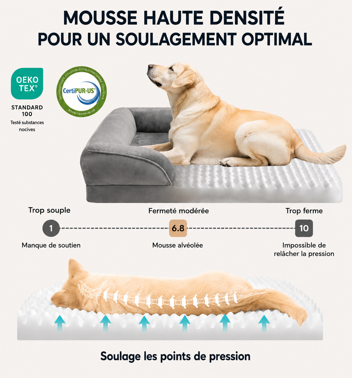 Lit Confort Premium Déhoussable pour Chien et Chat – Imperméable et Lavable