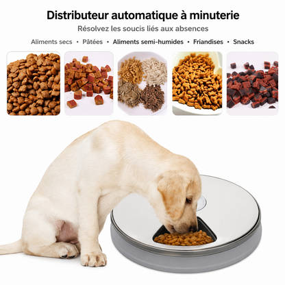 Distributeur Automatique 6 Repas pour Chiens et Chats – Nourrissez votre compagnon même en votre absence