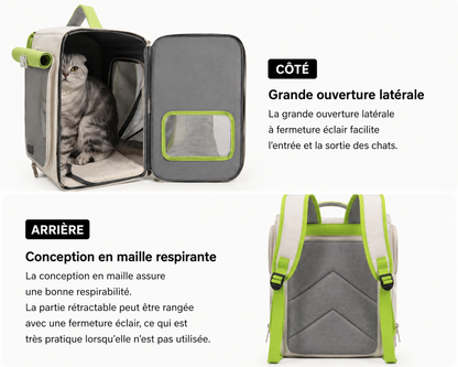 Sac à dos de transport pour chat, fenêtres en filet et double bandoulière