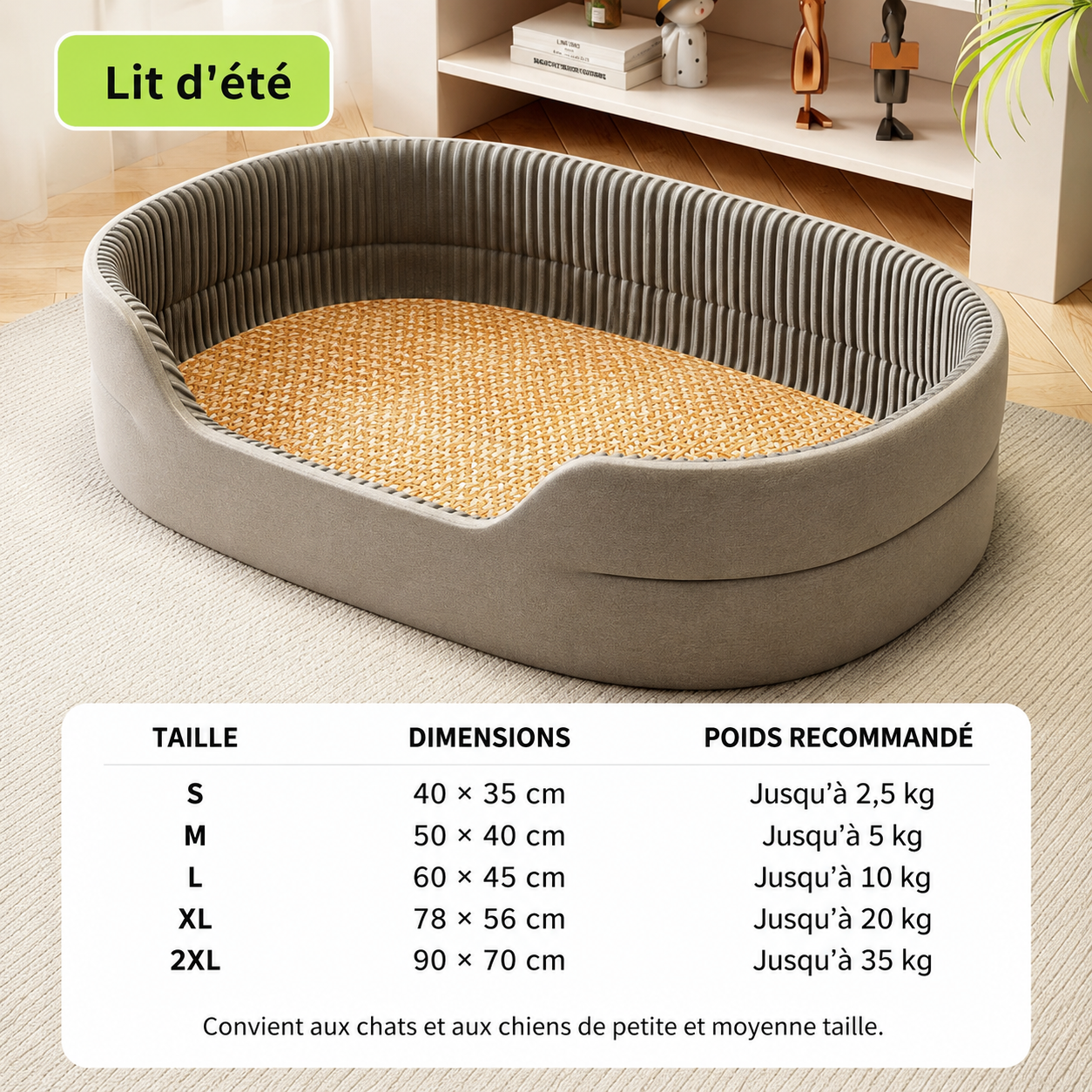 Lit Rafraîchissant 4 Saisons pour Chien et Chat avec Tapis Fraîcheur et Rebords Confortables