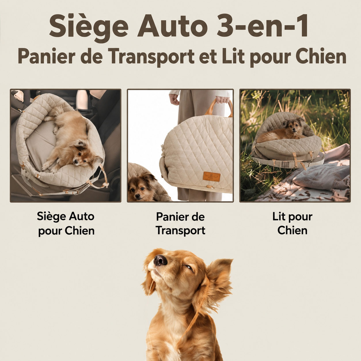 Siège Auto 3-en-1 Confort - Voyage pour Chien