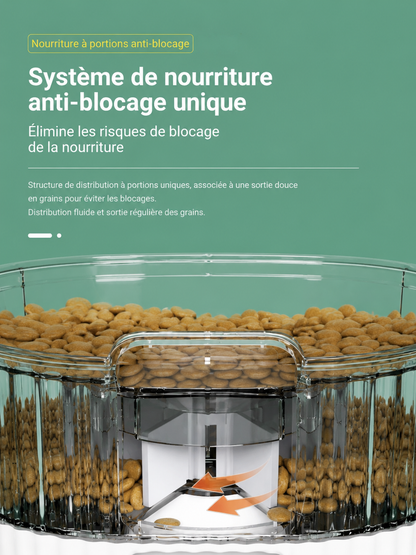 Distributeur automatique WiFi pour chats et chiens, minuteur et portions